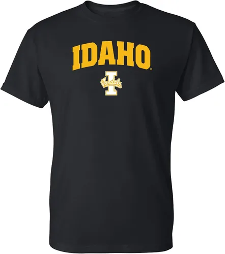 Camiseta, con color del equipo, con logotipo arqueado de tu colegio o universidad de la NCAA.