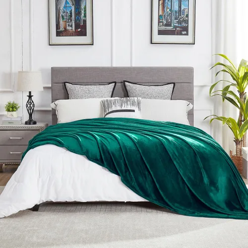 Miniatura 11 de Dreamnine Manta extrasuave, vellón de felpa, silla, sofá, 50 x 60 pulgadas, franela de terciopelo, ligera, mullida, microfelpa, decorativa, cálida