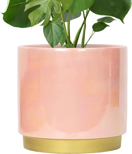 Miniatura 9 de Gepege - Macetas para suculentas para plantas, maceta para suculentas con agujeros de drenaje, maceta de cerámica para plantas de interior, juego