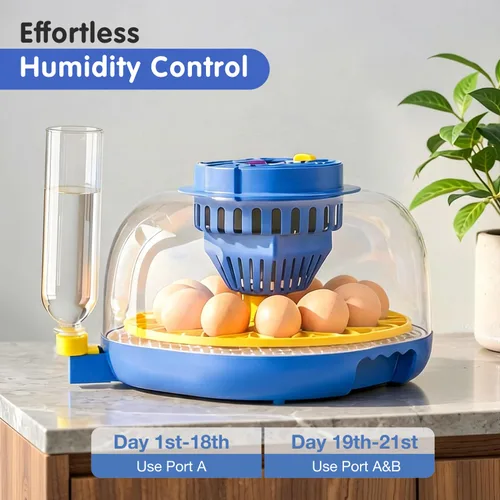 Miniatura 4 de Incubadoras de huevos de gallina para incubar huevos, incubadora de 12 huevos con giro automático de huevos y control de humedad, incubadoras