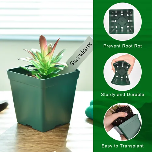 Miniatura 4 de June Fox 60 macetas pequeñas para plantas, kit de 5 bandejas de inicio de semillas, macetas de plástico de 3.3 pulgadas con bandejas de inicio