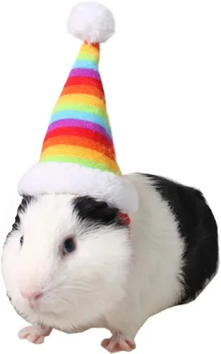Miniatura 9 de ANIAC Sombreros de hámster de Navidad, disfraz de conejillo de indias, mini sombrero de Santa para gatito, chinchilla, conejo, erizo, hurón