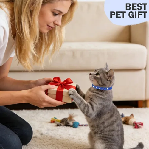 Miniatura 6 de Collares de cuero DILLYBUD para gatos niño y niña con campana y cinturón elástico de seguridad, collar ajustable con hebilla de seguridad Blue_Star