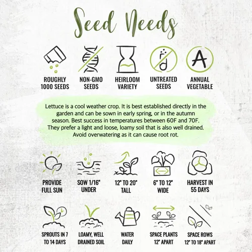 Miniatura 8 de Seed Needs Semillas de lechuga romana para plantar Parris Island COS - Cultivos anuales de clima frío sin OMG y sin tratar, cultiva un huerto al