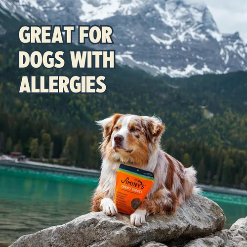 Miniatura 3 de Jiminy's Golosinas masticables de entrenamiento de cricket para perros, bajas en calorías, hipoalergénicas, fabricadas en Estados Unidos, 6 onzas