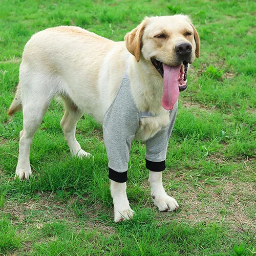Miniatura 8 de Yosoo Health Gear Dog Elbow Protector, Adjustable Front Leg Braces with Breathable Cotton Pads for Medium Large Dogs, Joint Warming Protective