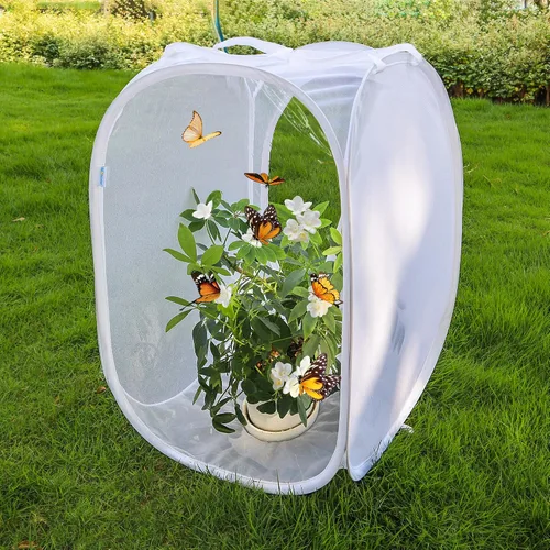 Miniatura 2 de Jaula desplegable para insectos y mariposas con terrario de malla transparente, 16 x 16 x 24 pulgadas