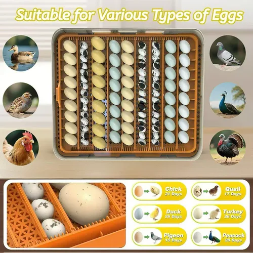 Miniatura 2 de Incubadora de huevos para incubar 56-154 huevos de pollo/codorniz/pavo, incubadoras de aves de corral con giro automático de huevos/control