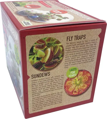 Miniatura 5 de Cultiva tu propia trampa para moscas Venus, kit de inicio de terrario de vidrio para niños para brotar trampa moscas y plantas de rocío solar