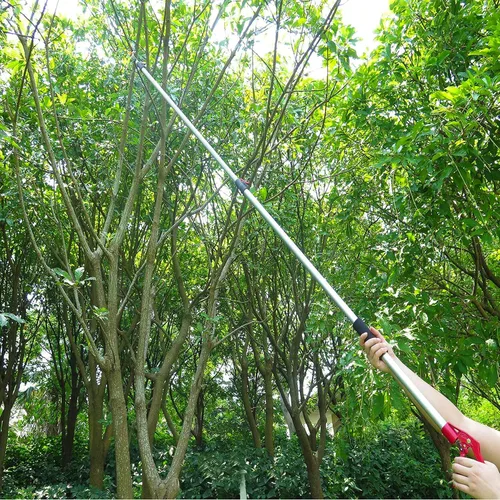 Miniatura 5 de Podadora de árboles extensible de 5.6 a 13 pies, recortadora de poda, sierra de poste de largo alcance, recogedor de frutas telescópico, Sierra