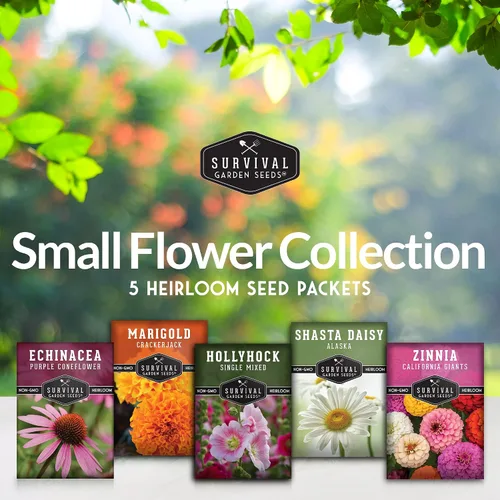 Miniatura 2 de Colección de 5 semillas de flores para plantar - Zinnia, caléndula, equinácea, margarita y hollyhock - Paquete de regalo de polinizador sin OMG