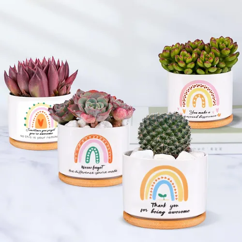 Miniatura 3 de SAIWEILAI - Juego de 9 macetas de cerámica para suculentas con bandejas de bambú, macetas redondas pintadas para decoración de escritorio