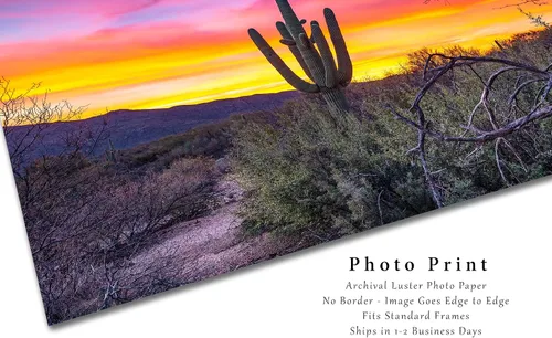 Miniatura 2 de Southwestern Photography Print (Not Framed) Picture of Saguaro Cactus at Sunrise in Sonoran Desert near Tucson Arizona Western Wall Art Nature Decor