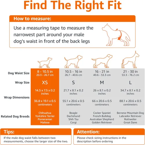 Miniatura 4 de Amazon Basics Pañales para perros machos, 30 unidades, XS, ultra absorbentes, desechables, con ajuste seguro, a prueba de fugas y cómodos