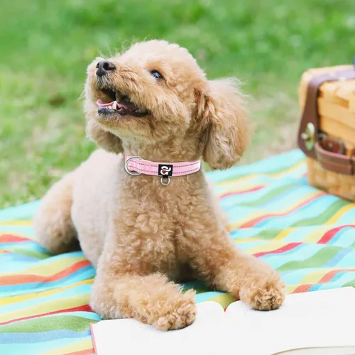Miniatura 5 de azuza Collar reflectante para perro, de neopreno suave acolchado con anillo para etiqueta de identificación, ajustable para cachorros y perros Rosa