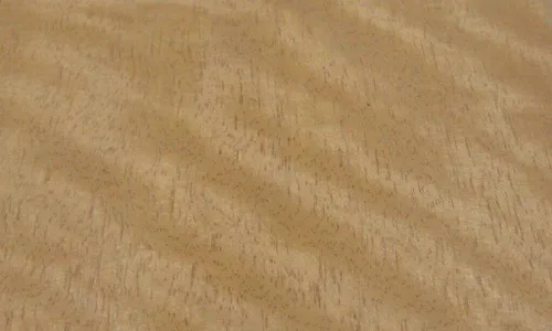 Miniatura 4 de Curupixa Amarillo Honeytree Gogo - Hoja de chapa de madera de 48 x 108 pulgadas con respaldo de papel