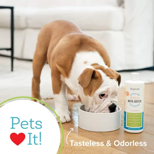 Miniatura 5 de Oxyfresh Premium Cuidado dental para mascota, aditivo para el agua, elimina el mal aliento, combate sarro, placa, solo tienes que añadirla al agua