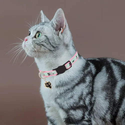 Miniatura 6 de Paquete de 2 collares para gatos que brillan en la oscuridad con campana, collares de seguridad para cachorros con colgante, negro y rosa