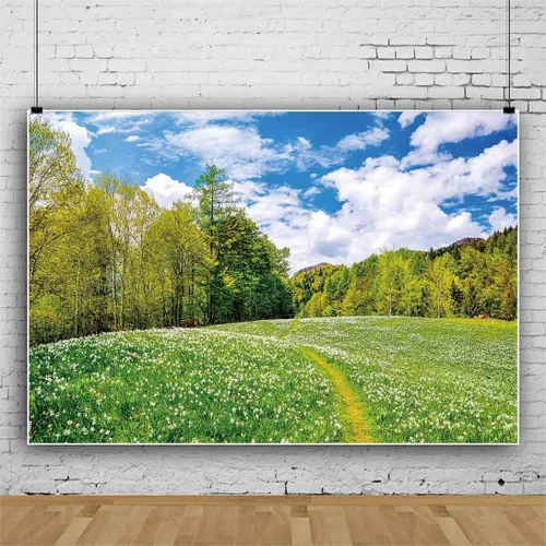 Miniatura 3 de Telón de fondo de campo de granja para fotografía, 5 x 3 pies, paisaje de primavera y verano, prado verde, cielo, nubes, fondo de fotos, fiesta