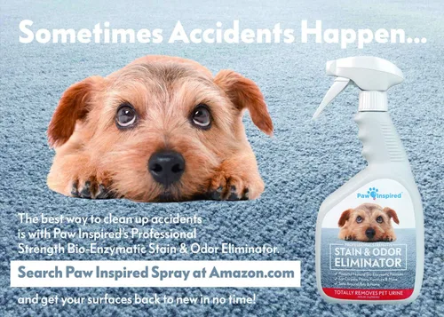 Miniatura 5 de Paw Inspired Envolturas para perros machos, pañales desechables para perros Bandas para el vientre para perros pequeños, medianos y grandes