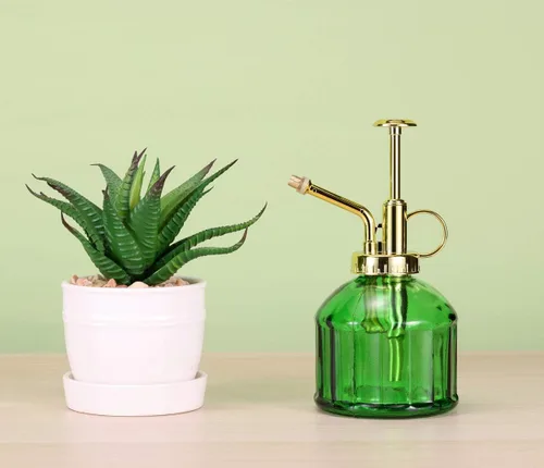 Miniatura 4 de Glass Plant Mister - Botella rociadora de agua de vidrio verde de 6.5 pulgadas con bomba superior dorada, rociador de plantas pequeñas para plantas