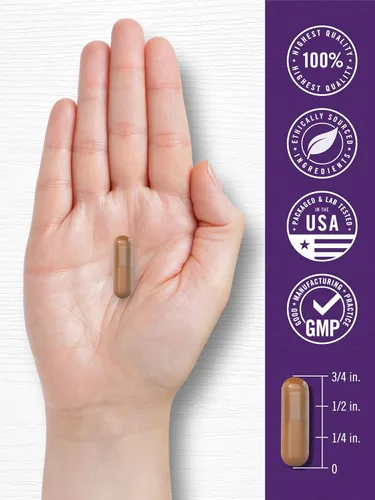 Miniatura 7 de Carlyle Suplemento de resveratrol 1800 mg 180 cápsulas Sin OMG y sin gluten Complejo potente