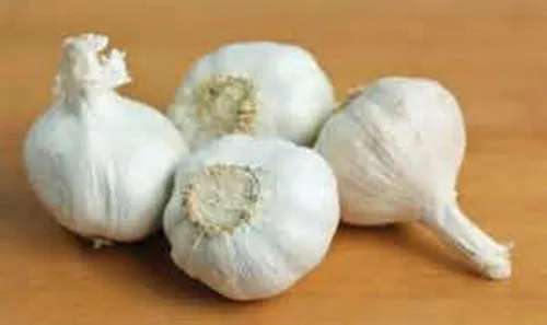 Miniatura 5 de Cabeza de ajo (paquete de 3), ajo fresco de California de cuello suave para plantar y cultivar su propio ajo, compre la marca Country Creek
