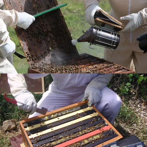 Miniatura 4 de Honey Lake Kit de ahumador de abejas, ahumador de abejas para apicultura, incluido ahumador de colmena de abejas con 54 pellets de ahumador