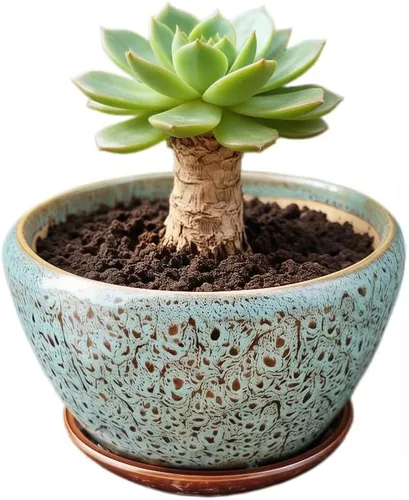 Miniatura 19 de Bonita maceta circular de cerámica para decoración del hogar y jardín, suculentas, cactus, maceta no incluida (azul, 3.19 pulgadas)