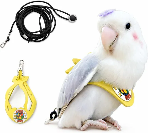 Miniatura 28 de Juego de arnés ajustable y correa para pájaros pequeños, apto para periquitos, conures, cacatúas, mejillas verdes, loros cuáqueros (verde, XS) 6350-6
