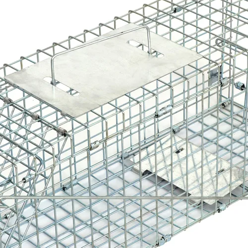 Miniatura 7 de JungleA Jaula de trampa para animales, jaula plegable de 24 pulgadas con 1 puerta de hierro, trampa humana para atrapar y liberar roedores