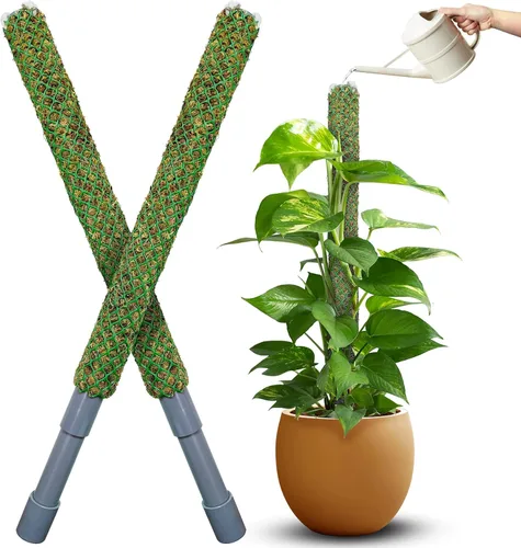 Miniatura 14 de DUSPRO Poste no doblable de 59 pulgadas para plantas trepadoras grandes, poste de musgo grande para Monstera, estacas para plantas