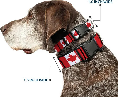Miniatura 2 de Buckle-Down PC-W30367-L - Collar de clip de plástico para banderas de Canadá, grande/15-26