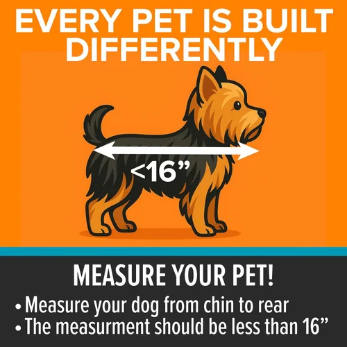 Miniatura 4 de K&H Buckle N Go - Asiento de automóvil para perros pequeños, tela impermeable, laterales de malla transpirable, correa de cinturón de seguridad
