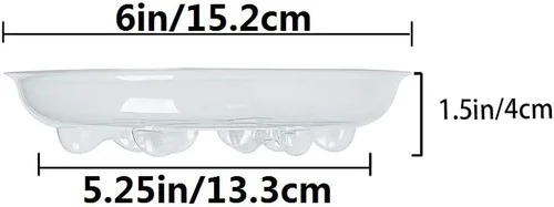 Miniatura 2 de Idyllize - Base de plástico transparente para plantas (5 unidades)
