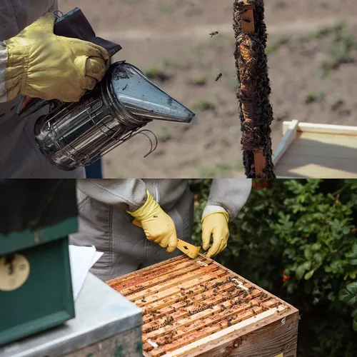Miniatura 5 de Honey Lake Suministros de apicultura Kit de iniciación para ahumadores de abejas, 16 piezas, kit de iniciación de mantenimiento de abejas, todo