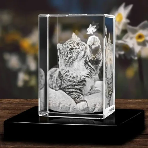 Miniatura 7 de Marcos de fotos 2D/3D personalizados con cristal, marcos de fotos personalizados, regalos de fotos personalizados para mujeres, esposa, hombres