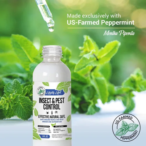 Miniatura 4 de Aceite de menta para control de insectos y plagas de 8 oz - Spray natural para arañas, hormigas y más (2)