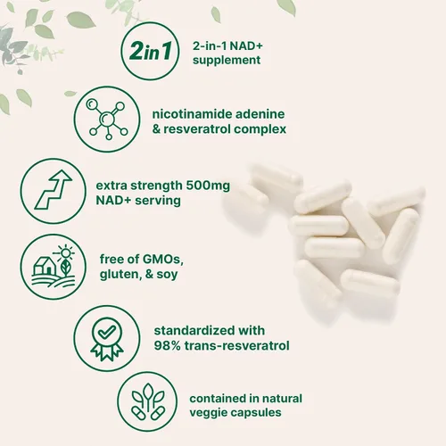 Miniatura 3 de Micro Ingredients NAD+ 500 mg con resveratrol, 240 cápsulas vegetales Suplemento NAD 2 en 1 para mujeres y hombres Alternativa NMN Pathway Sin