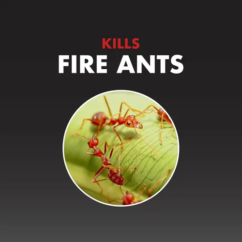Miniatura 2 de Spectracide Asesino de hormigas de fuego One Shot