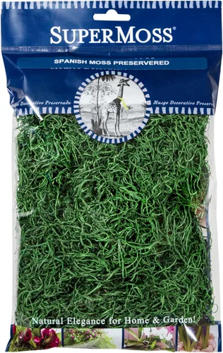 SuperMoss (26903) Musgo español preservado – Musgo decorativo para manualidades, plantas en maceta, jardines de hadas, relleno de jarrón, arreglos