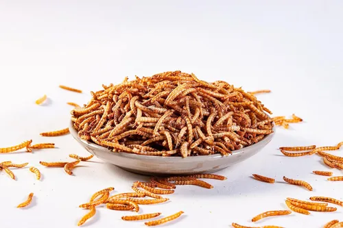 Miniatura 3 de I LOVE WORMS Gusanos secos (2.27 kg), alimento para pájaros silvestres, gusanos altos en proteínas para pájaros azules, pollos, patos, reptiles