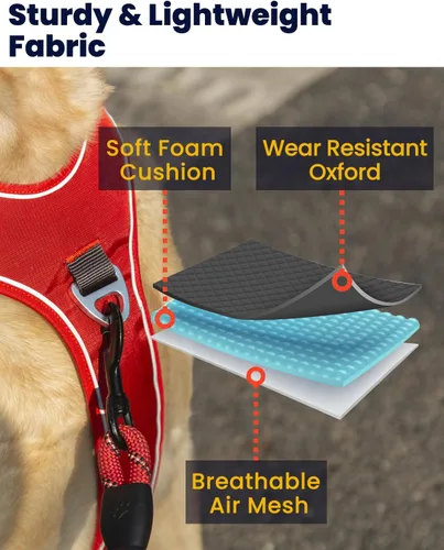 Miniatura 4 de Arnés para perro sin tirones con 2 clips para correa, chaleco reflectante, ajustable y acolchado, clips delanteros y traseros fáciles de caminar