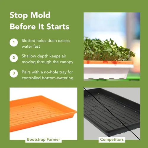 Miniatura 8 de Bootstrap Farmer - Bandejas Microgreen 1020, paquete de 5 bandejas de semillas extra resistentes y poco profundas con orificios - Cultivo