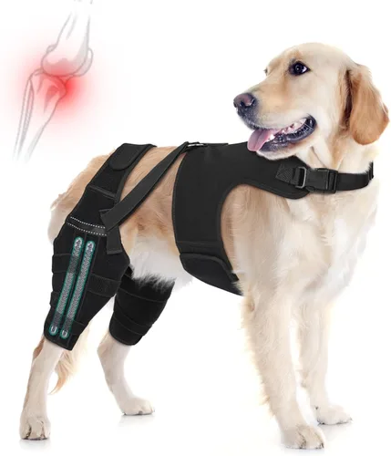 Miniatura 8 de Rodillera para perro, pierna trasera, ajustable, con 4 estabilizadores, soporte de cadera para reducir el dolor, lesiones en los ligamentos y rótula