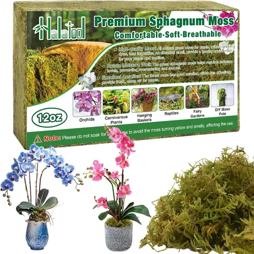 Miniatura 8 de Halatool Musgo de bosque verde de 1.1 libras, musgo esfagnum natural de 25 cuartos para plantas, musgo de orquídea esponjoso para trasplante