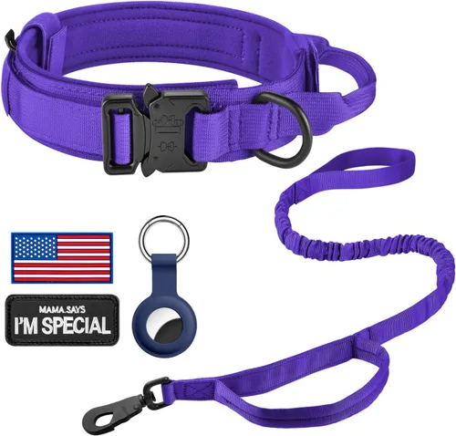 Miniatura 29 de DAGANXI Collar táctico para perro, collar ajustable de nailon para entrenamiento militar con asa de control y hebilla de metal pesado para perros