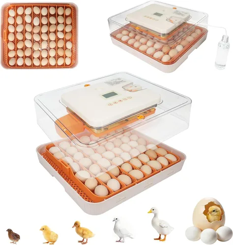 Miniatura 11 de Incubadora de 48 Huevos con Giro Automático y Control de Humedad Incubadora Digital de Aves de Corral para Huevos de Pollo, Pato, Codorniz, Ideal