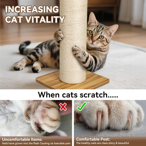 Miniatura 7 de KAMABOKO Rascador para gatos de 29.5 pulgadas, poste rascador de sisal natural de 7.5 pulgadas de diámetro ultra grande, resistente a los arañazos