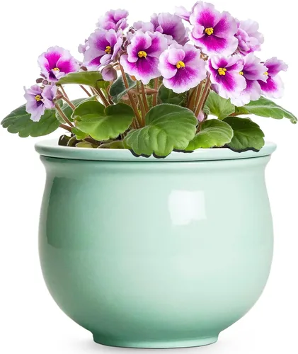 Miniatura 17 de Macetas de riego automático de 6 pulgadas para plantas de interior, macetas de cerámica violeta africana con maceta interior absorbente, maceta